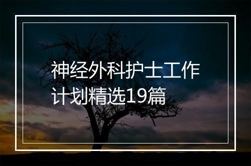 神经外科护士工作计划精选19篇