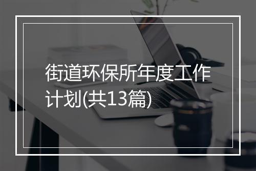 街道环保所年度工作计划(共13篇)