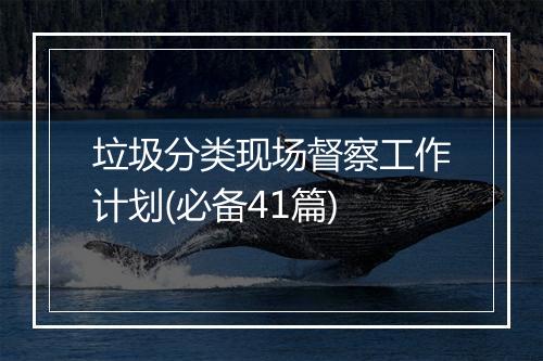 垃圾分类现场督察工作计划(必备41篇)