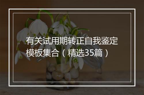 有关试用期转正自我鉴定模板集合（精选35篇）