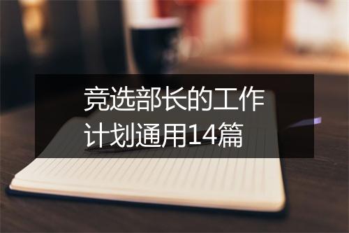 竞选部长的工作计划通用14篇