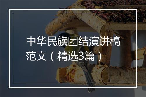 中华民族团结演讲稿范文（精选3篇）