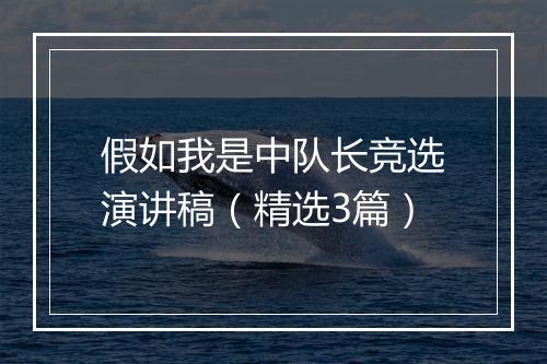 假如我是中队长竞选演讲稿（精选3篇）
