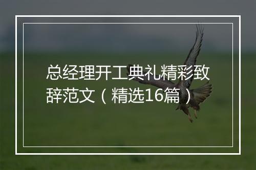 总经理开工典礼精彩致辞范文（精选16篇）