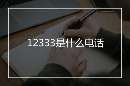 12333是什么电话