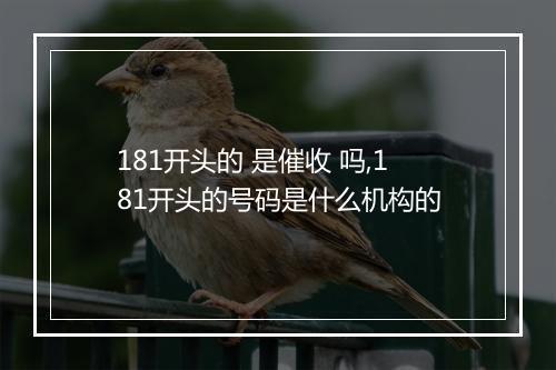 181开头的 是催收 吗,181开头的号码是什么机构的