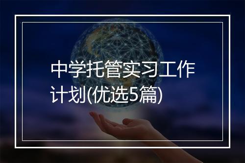 中学托管实习工作计划(优选5篇)
