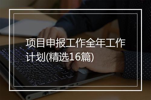 项目申报工作全年工作计划(精选16篇)