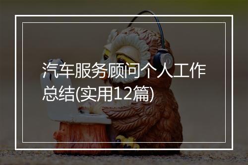 汽车服务顾问个人工作总结(实用12篇)