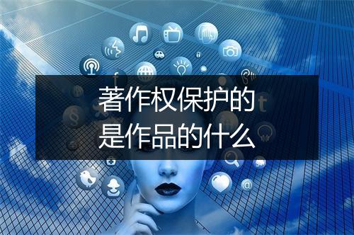 著作权保护的是作品的什么