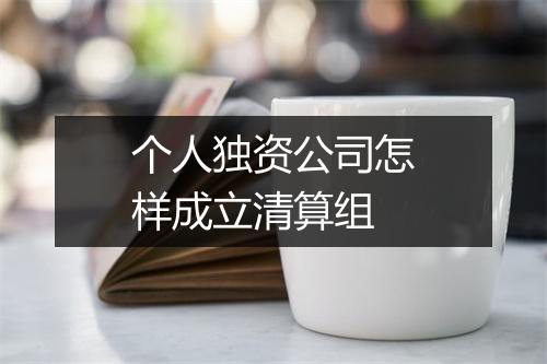 个人独资公司怎样成立清算组