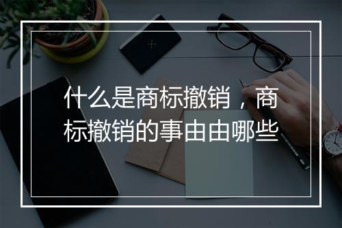 什么是商标撤销，商标撤销的事由由哪些