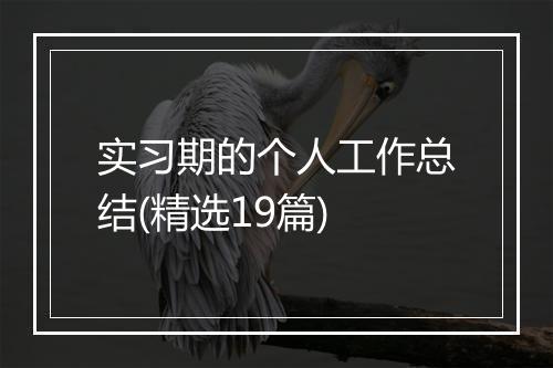 实习期的个人工作总结(精选19篇)