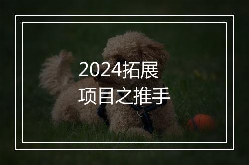 2024拓展项目之推手