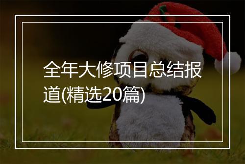 全年大修项目总结报道(精选20篇)