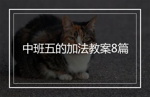 中班五的加法教案8篇