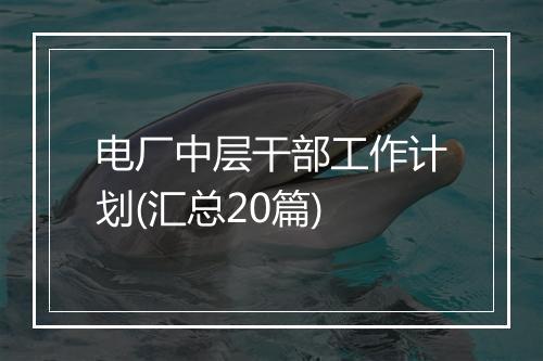 电厂中层干部工作计划(汇总20篇)