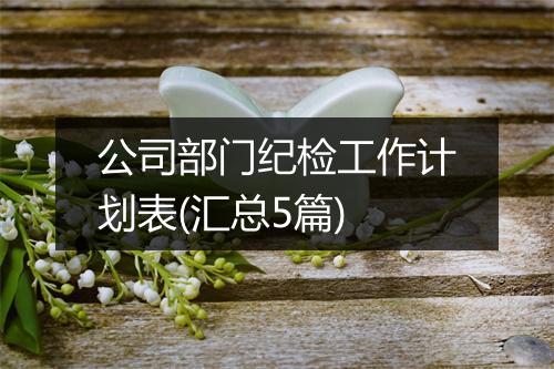 公司部门纪检工作计划表(汇总5篇)