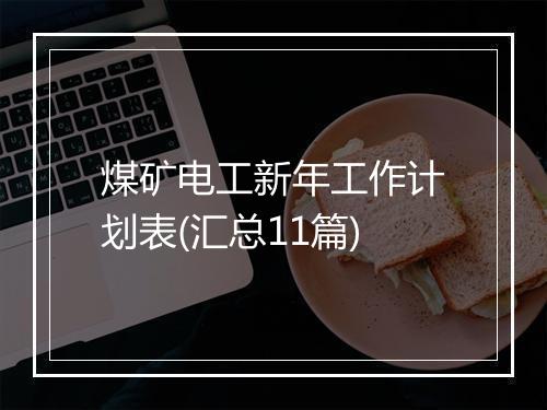 煤矿电工新年工作计划表(汇总11篇)