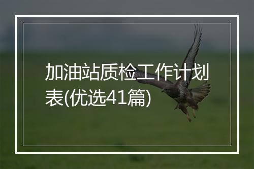 加油站质检工作计划表(优选41篇)