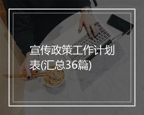 宣传政策工作计划表(汇总36篇)