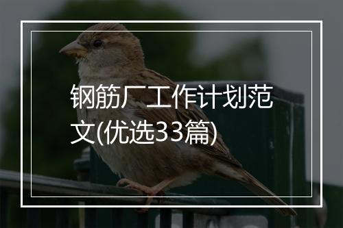 钢筋厂工作计划范文(优选33篇)