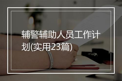 辅警辅助人员工作计划(实用23篇)