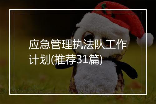 应急管理执法队工作计划(推荐31篇)