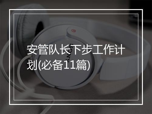 安管队长下步工作计划(必备11篇)