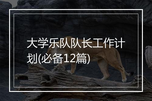 大学乐队队长工作计划(必备12篇)