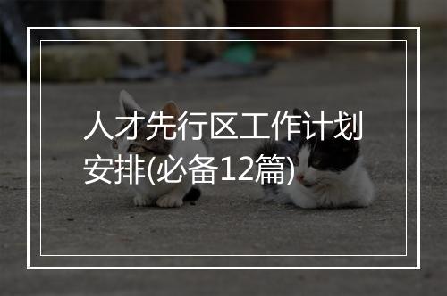 人才先行区工作计划安排(必备12篇)