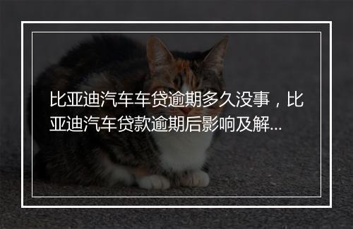 比亚迪汽车车贷逾期多久没事，比亚迪汽车贷款逾期后影响及解决方法