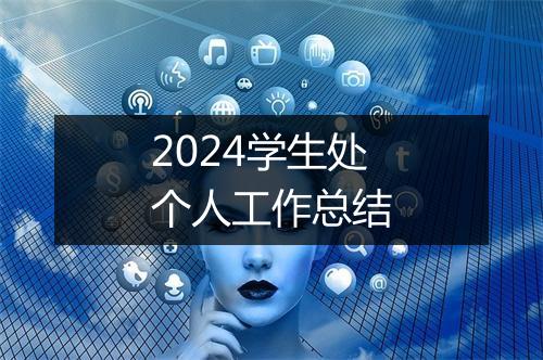 2024学生处个人工作总结