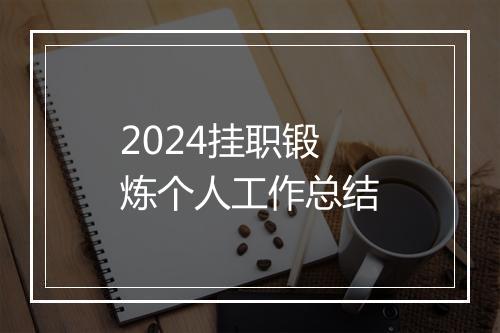 2024挂职锻炼个人工作总结