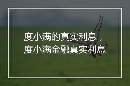 度小满的真实利息，度小满金融真实利息
