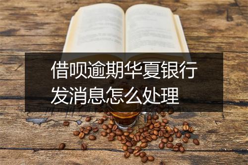 借呗逾期华夏银行发消息怎么处理