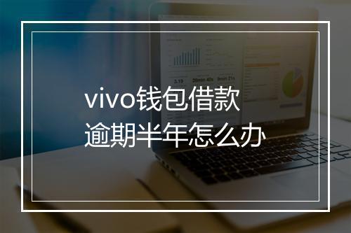 vivo钱包借款逾期半年怎么办