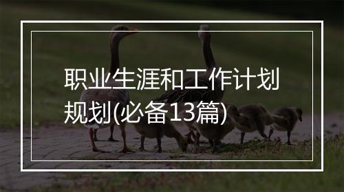 职业生涯和工作计划规划(必备13篇)