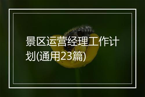 景区运营经理工作计划(通用23篇)