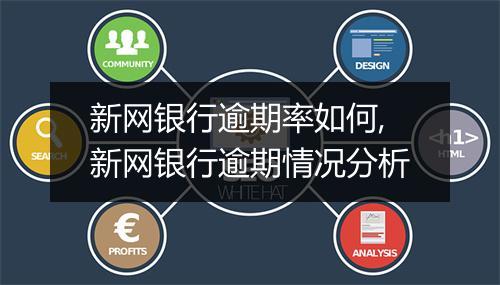 新网银行逾期率如何,新网银行逾期情况分析