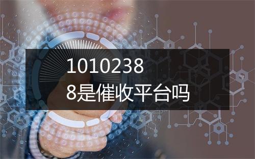 10102388是催收平台吗