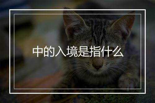 中的入境是指什么