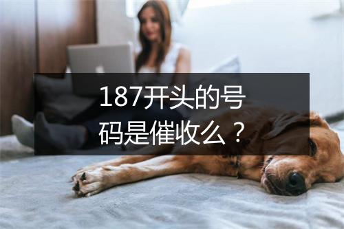 187开头的号码是催收么？