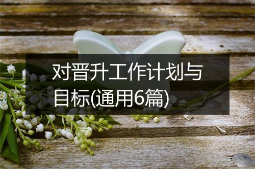 对晋升工作计划与目标(通用6篇)