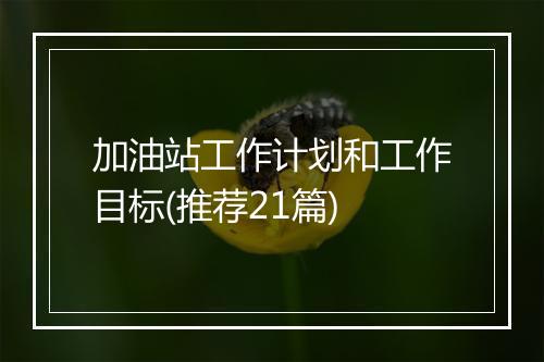 加油站工作计划和工作目标(推荐21篇)