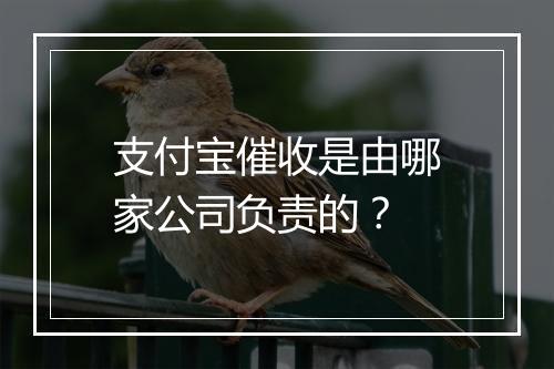 支付宝催收是由哪家公司负责的？