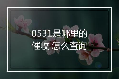 0531是哪里的催收 怎么查询