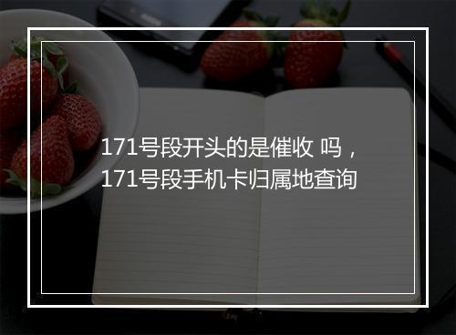 171号段开头的是催收 吗，171号段手机卡归属地查询