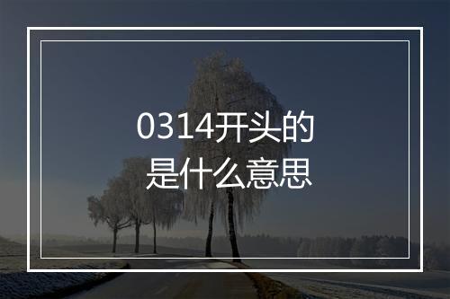 0314开头的 是什么意思