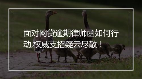 面对网贷逾期律师函如何行动,权威支招疑云尽散！